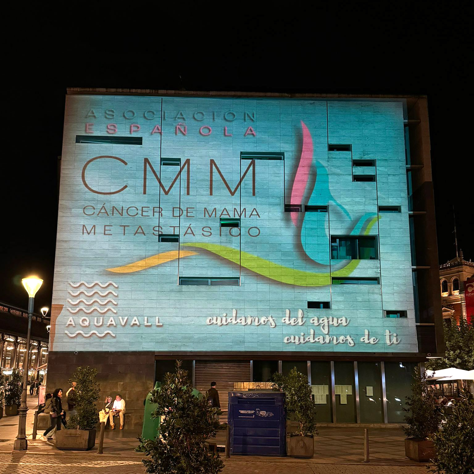 Image module